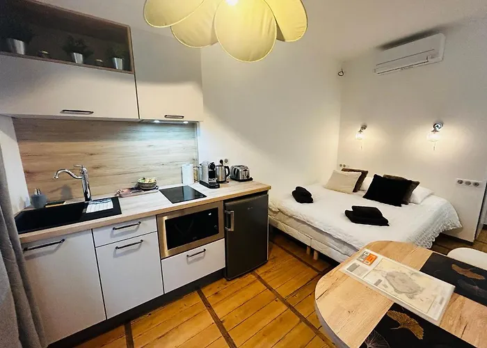 Studio Carnot - Centre - Hospices